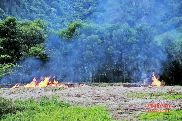 Đốt nương làm rẫy  ở xã Quang Phong (Quế Phong).