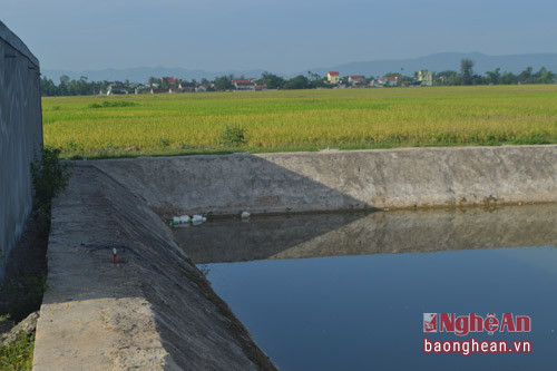 Hồ nước nơi xảy ra tai nạn đuối nước thương tâm