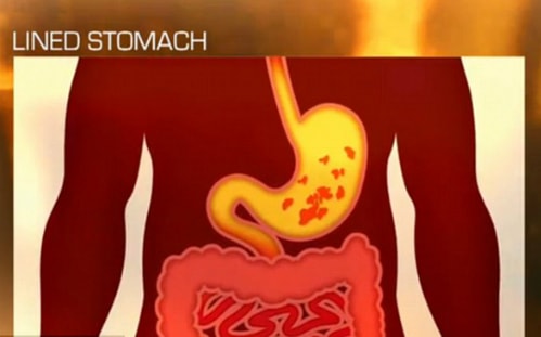  Dạ dày trống rỗng khiến bia rượu được hấp thụ nhanh chóng. Ảnh: moch news​