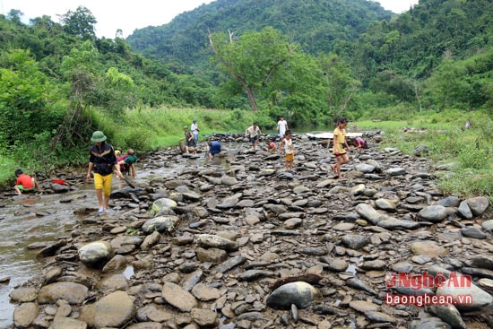 Những ngày hè, khi nước sông suối xuống thấp, người dân ở bản Xốp Nặm (Tam Hợp - Tương Dương) lại nô nức đi bắt tít nước về ăn.