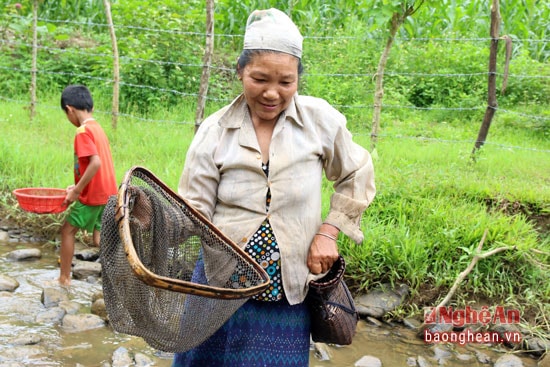 Việc dùng xúc để xúc tít nước sẽ làm người bắt tít nước không bị cắn bởi loài này khi cắn rất đau.