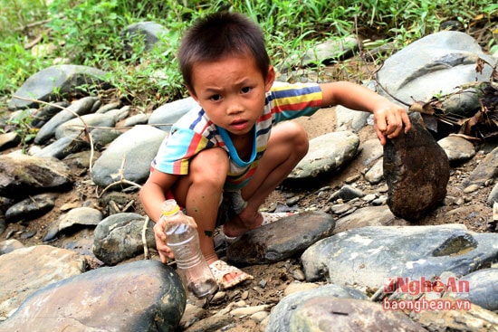 Ngày hè, rất nhiều trẻ em cũng tham gia bắt tít nước.