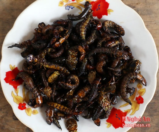 Món ăn ngon nhất từ tít nước là bỏ gia vị vào và rang khô. Khi ăn có vị giòn, bùi và rất béo.