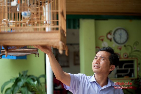 Anh Nguyễn Cảnh Tùng - Chủ nhiệm CLB chim chào mào TP Vinh chăm sóc 
