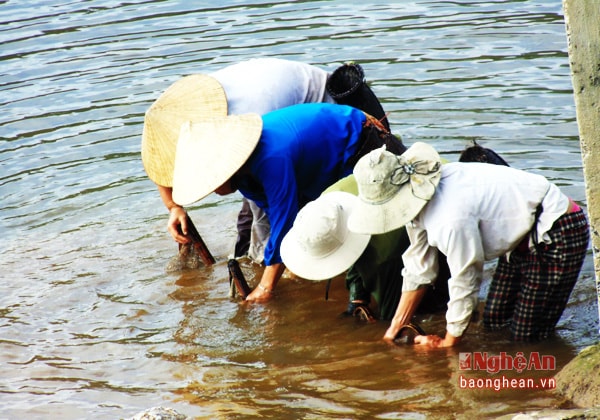 Vào ngày hè, bà con người Thái tranh thủ ra sông xúc tôm, cá