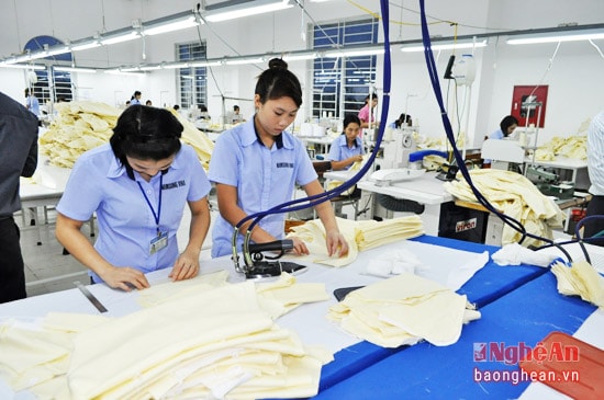 Cần đảm bảo các chế độ và quyền lợi nhằm tạo động lực cho người lao động nâng cao năng suất và hiệu quả lao động