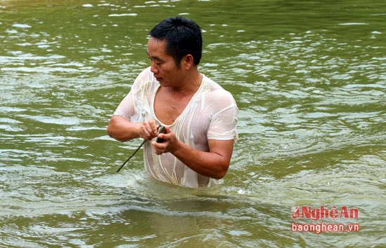 Loại cá này rất tinh khôn, có khi bị phát hiện nhưng chúng không hề nhúc nhích, phải đâm nhiều lần mới được. Những lần đâm vào hang đá làm cho xỉa bị cùn, phải mài thật sắc mới đâm được. 