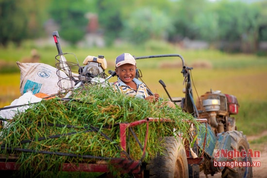 Theo cha mẹ ra đồng