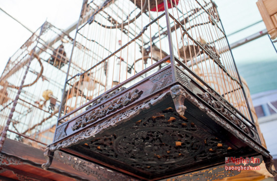 Đây là chiếc lồng gỗ trắc của anh Trí Lộc (trường chim Vinh Tân) mua cách đây 3 năm từ một nghệ nhân ở Huế, có giá bấy giờ là 5 triệu đồng.
