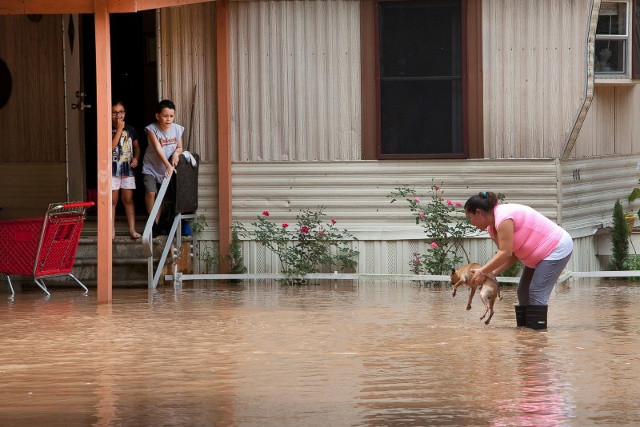 Alejandra Ventura nhấc chú chó của mình lên khỏi mặt nước do sông Brazos tràn bờ gây ra lũ lụt ở Richmond, Texas vào ngày 31/5. Ảnh: AP
