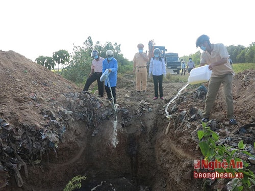 Tiến hành quá trình tiêu hủy, chôn lấp 