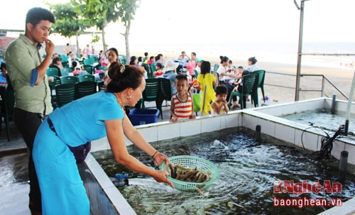 Chị Hồ Thị Hiền- chủ cơ sở ăn uống Hải Hiền cho biết: Ngay từ đầu hè, cơ sở của chị đón hàng trăm khách đến mỗi ngày, do đó hải sản tiêu thụ rất mạnh. Mỗi ngày cơ sở của chị tiêu thụ hơn 200 kg hải sản các loại, thu lãi gần chục triệu đồng/ngày.