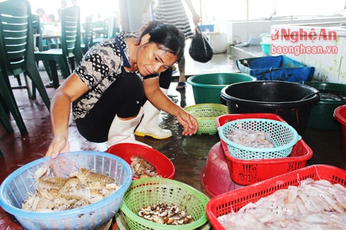 Đến với biển Quỳnh, du khách sẽ thưởng thức các món hải sản biển tươi ngon như: Ghẹ, cua đá, tôm tít, mực tươi, ốc hương.. được đánh bắt về trong ngày.