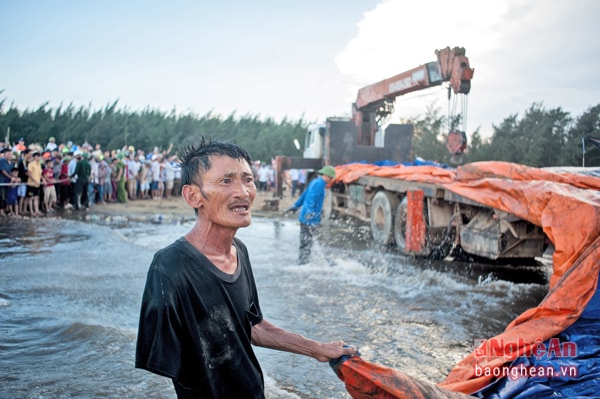 Lão ngư Phạm Sỹ Ba tham gia trục vớt cá voi. 