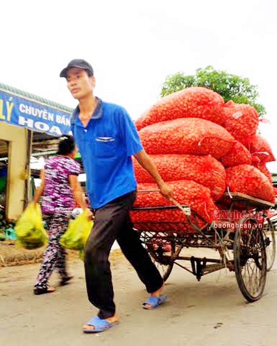Hành tỏi chưa rõ nguồn gốc vẫn tiếp tục đổ về chợ đầu mối Vinh. 