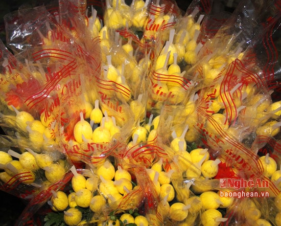 Hoa cúc được  