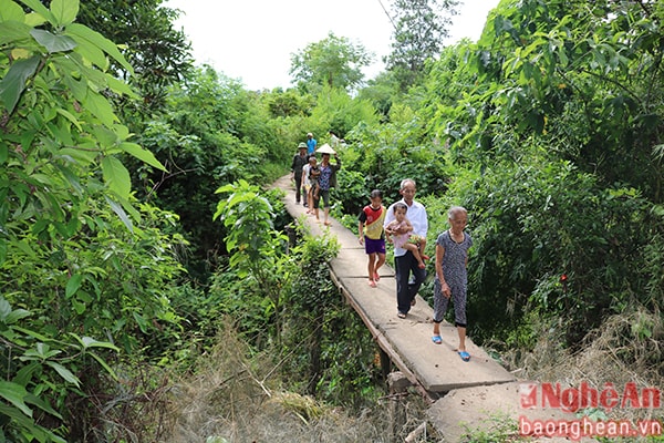 Cây cầy có chiều dài 12m, rộng 1,2 m. Không có lan can khiến việc đi lại của người dân vô cùng nguy hiểm.