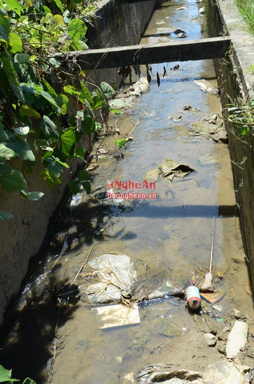 Vào thời điểm nước sông Lam chưa được bơm vào. Đường mương đầy rác rưởi hết sức bẩn thỉu.