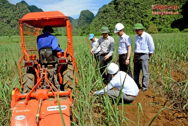 Lãnh đạo huyện Anh Sơn và Công ty CP mía đường sông Lam kiểm tra hiệu quả đưa cơ giới  vào quy trình trồng, chăm sóc mía.