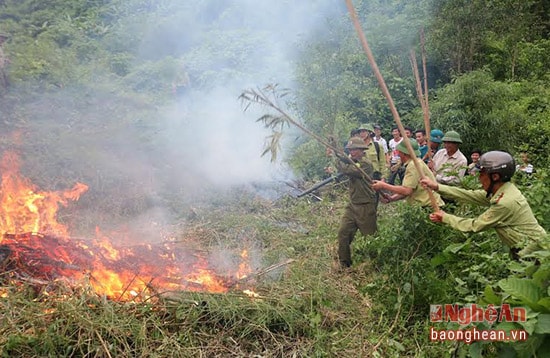 Cảnh diễn tập