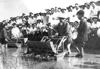 Bác Hồ xuống ruộng đi cấy cùng nông dân. Ảnh tư liệu.