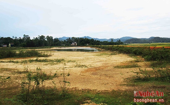 Đập Vũng Cầu Nghi Văn trơ đáy