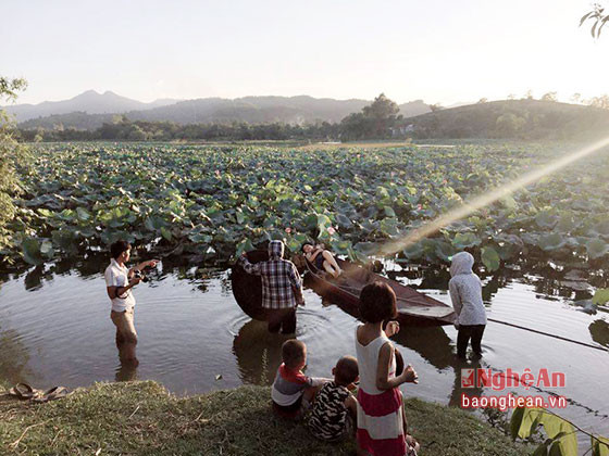 Từ sáng sớm, đầm sen Lại Lò (Thanh Chương) thu hút rất đông các nhiếp ảnh gia và mẫu ảnh tìm đến c