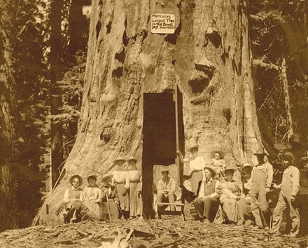 ây Hercules ở Mountain Home Grove, năm 1902.  