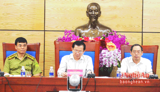 Chủ trì hội nghị tại điểm cầu Nghệ An.