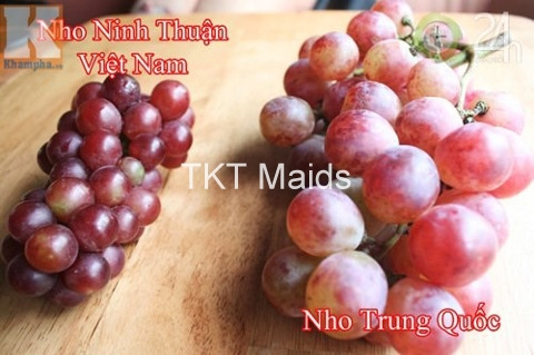 Hình ảnh: phân biệt nho Ninh Thuận Việt Nam và Nho Trung Quốc