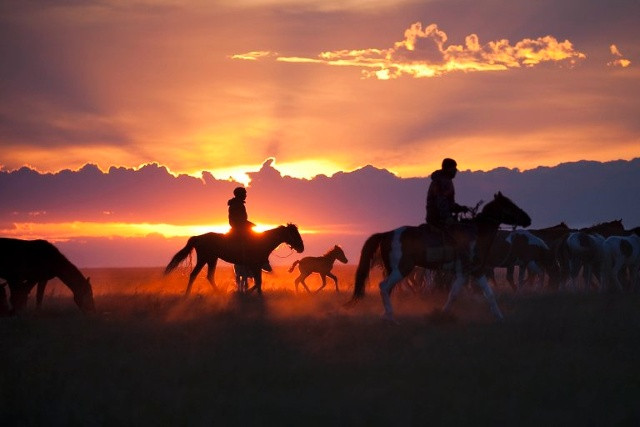  Khu vực Pavlodar, Đông Bắc Kazakhstan. (Ảnh: Ryan Bell)  Tại khu vực Pavlodar ở Đông Bắc Kazakhstan, người dân lùa đàn bò, ngựa của họ đến một bãi quây súc vật nơi họ sẽ nghỉ qua đêm. Người dân Kazakhstan phải bảo vệ động vật của họ tránh khỏi những kẻ trộm ngựa (một truyền thống lâu đời trong lịch sử Kazakshtan) và động vật săn mồi chẳng hạn như sói thảo nguyên.