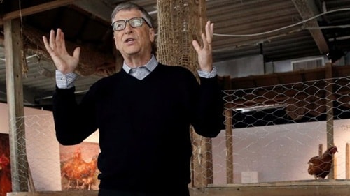 bill-gates-day-lam-giau-tu-nuoi-ga