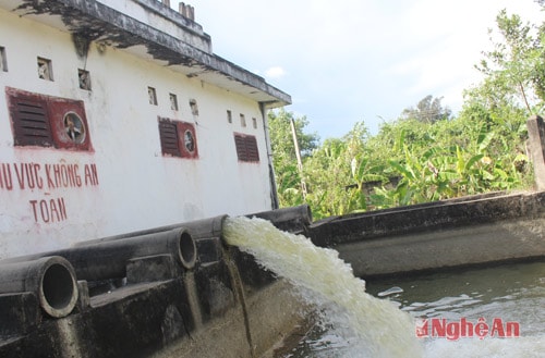 Trạm bơm Chợ Quán, Nghi Lộc bơm nước phục vụ gieo cấy lúa  hè thu