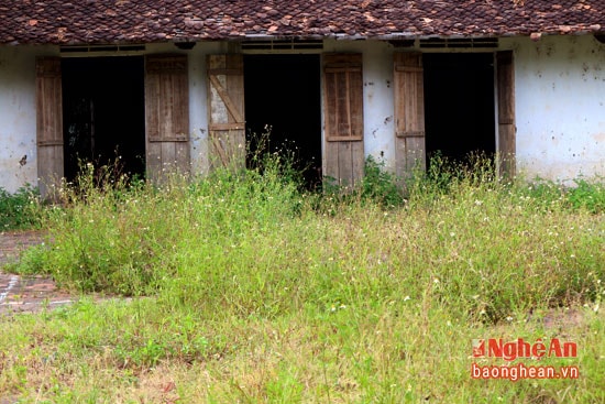 Trước cửa vào cỏ mọc kín chắn cả lối đi.