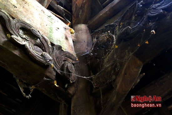 Mạng nhện bám đầy khắp nơi.
