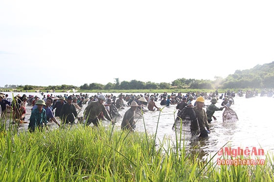 lễ hội đánh cá Đồng Hoa được tổ chức tại đầm Vực thuộc xã Xuân Viên (huyện Nghi Xuân, tỉnh Hà Tĩnh). Đầm nước này có chiều dài 1 km với diện tích khoảng 30 ha, nằm dưới chân dãy núi Hồng Lĩnh, có nhiều loài cá nước ngọt sinh trưởng.