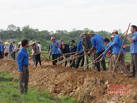 Trong buổi sáng ở xã Nghĩa lâm và Nghĩa an đoàn viên thanh niên đã làm được 350m đường nội đồng và đổ bê tông xóm