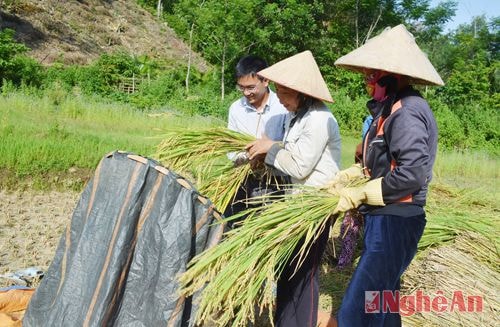 Cán bộ xã Yên Na ( Tương Dương) chia sẻ niềm vui được mùa với người dân, ảnh Nhật Lân