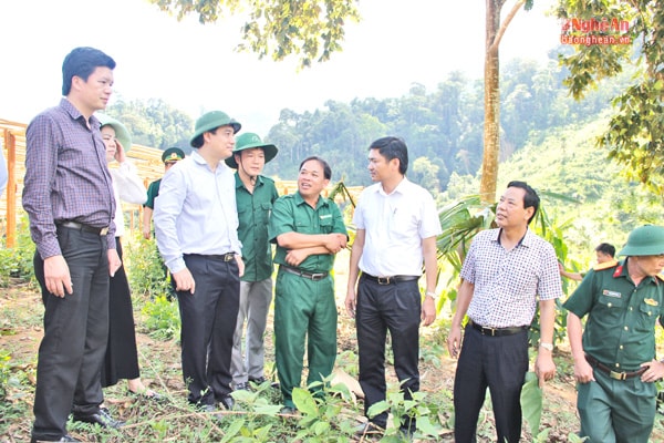 Đồng chí Nguyễn Đắc Vinh thăm mô hình kinh tế làng thanh niên lập nghiệp ở xã Tam Hợp (Tương Dương).