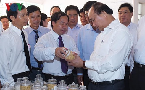 Lãnh đạo Viện lúa ĐBSCL giới thiệu với Thủ tướng kết quả nghiên cứu sản xuất một số giống mới