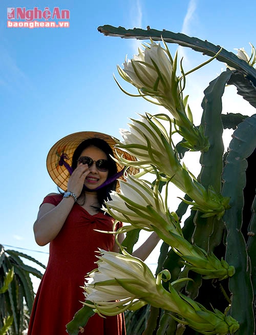 Visitors pose for pictures with shining and brilliant blooming flowers before they wilt.