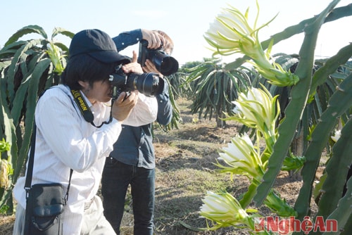  Photographers are lured by the flowers also.