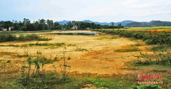 Đập Nghi Văn (Nghi Lộc) khô cạn. Ảnh: Quang An