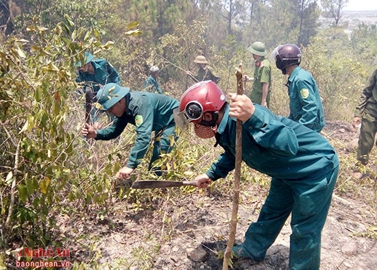 Các lực lượng khống chế đám cháy tại xã Diễn Đoài