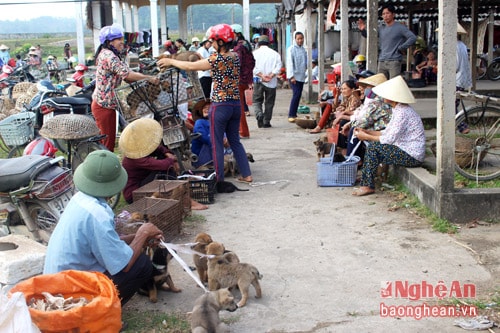 1.Mỗi tháng họp có 6 phiên vào các ngày 4, 9, 14, 19, 24, 29 âm lịch, nhưng từ lâu, chợ Dùng đã có hẳn một hàng chó, mà chỉ mua bán chó con. Người bán chủ yếu là người dân trong huyện, còn người mua thì dân tứ xứ. Phiên chợ nào, cũng có người Yên Thành, Đô Lương… đến đây mua chó con để đi bán các chợ trong tỉnh.