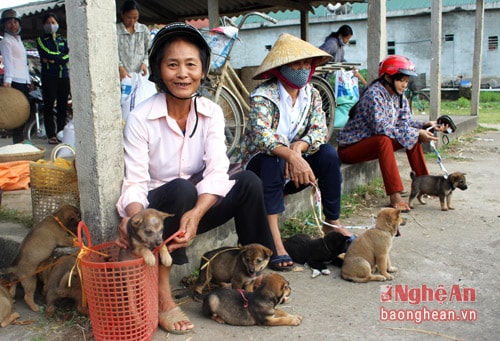 2.Hàng chó ở chợ Dùng, mỗi bữa chợ có khoảng vài trăm con. Những gia đình nuôi chó trong vùng, khi có chó con, nếu không cho, tặng, thường đem đi chợ Dùng để bán, người ít thì vài con, người nhiều thì trên dưới chục con.