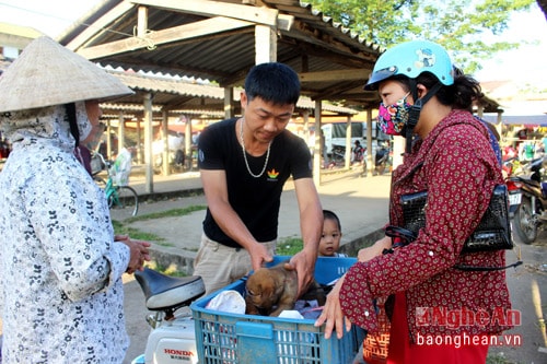 4.Tuỳ vào giống chó và cách chăm sóc của chủ nhà mà chó con sẽ đẹp, xấu, mập, gầy khác nhau. Khi đưa đến chợ, lại tuỳ vào đó mà mỗi con chó con có giá từ vài chục nghìn đồng đến vài trăm nghìn đồng.