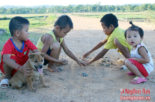 Bóng mát cây xoài cũng là điểm vui chơi lý tưởng của trẻ nhỏ xóm Bàu Khe.