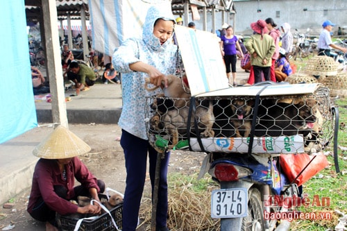 5.Chó con đưa đến chợ Dùng được đựng trong nhiều đồ vật như thau chậu, sảo, bu gà…