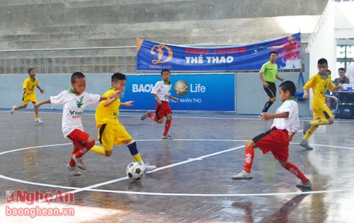 Thái Hòa- Quỳnh Lưu